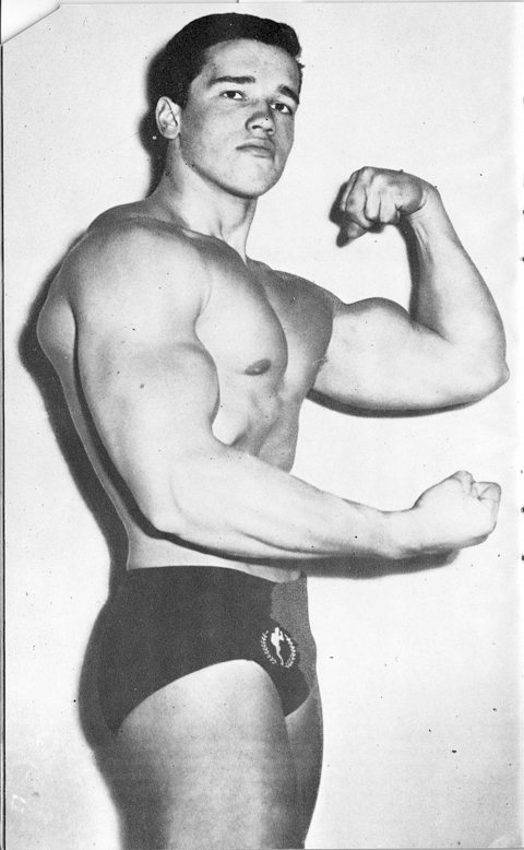 Arnold 2