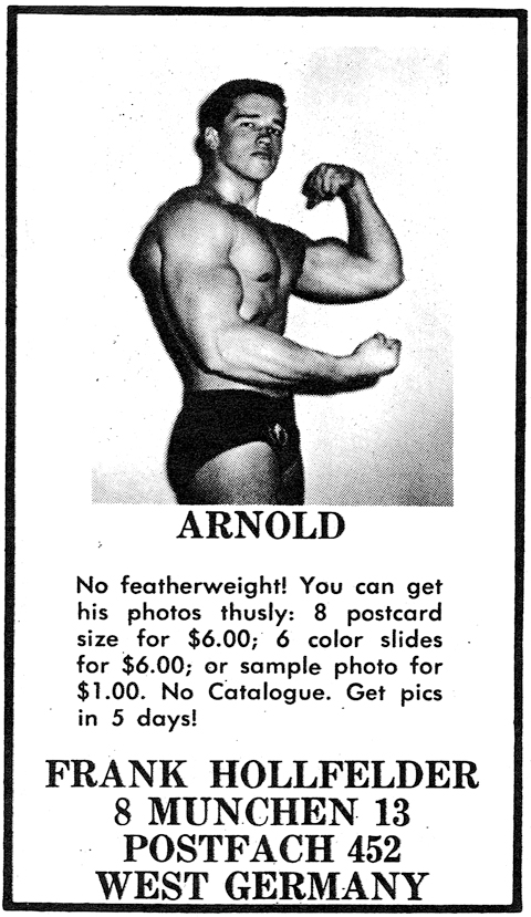 Arnold 3