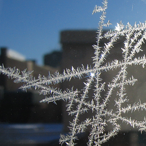 Icy Window 1